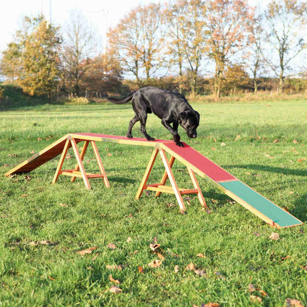 Passerelle pour agility dogwalk en bois pour chien