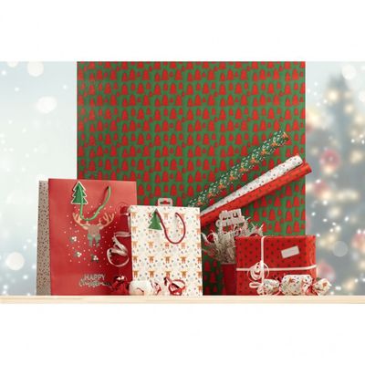 Clairefontaine Excellia Christmas - Papier cadeau - 70 cm x 2 m - flocons - différents modèles disponibles