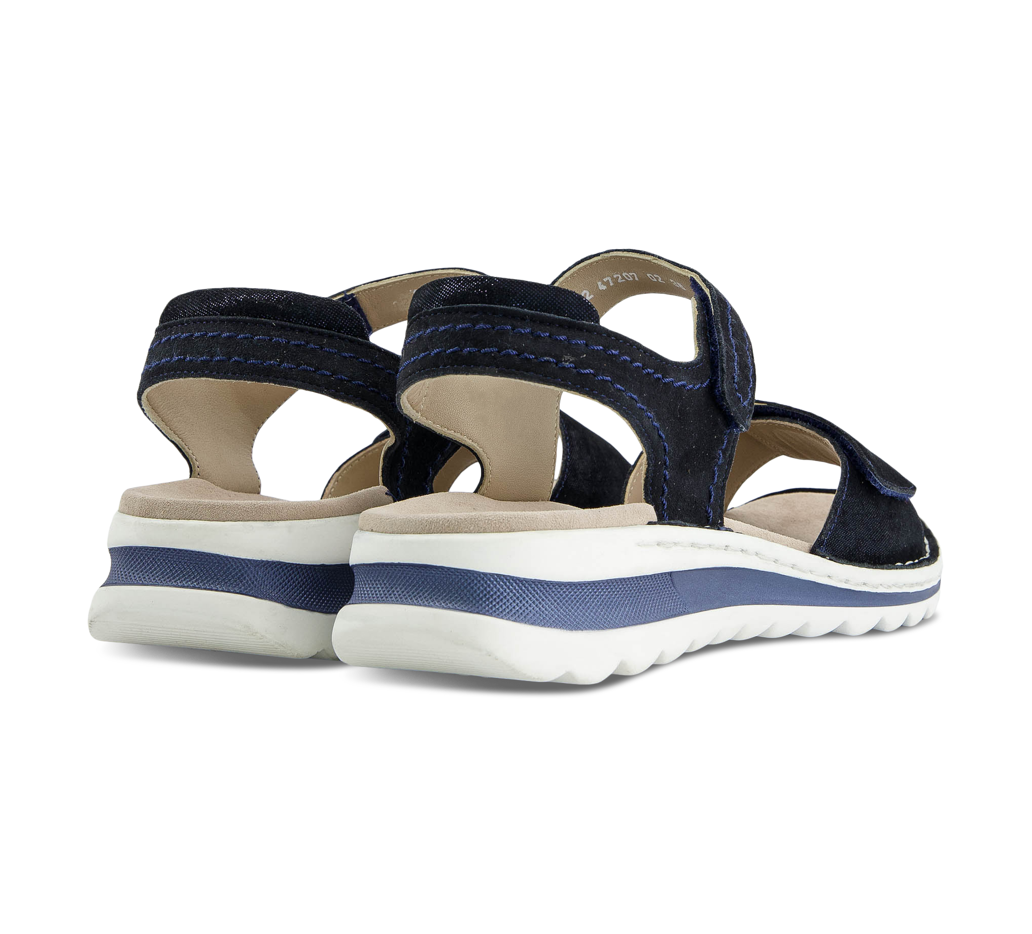 Ara TAMPA blau