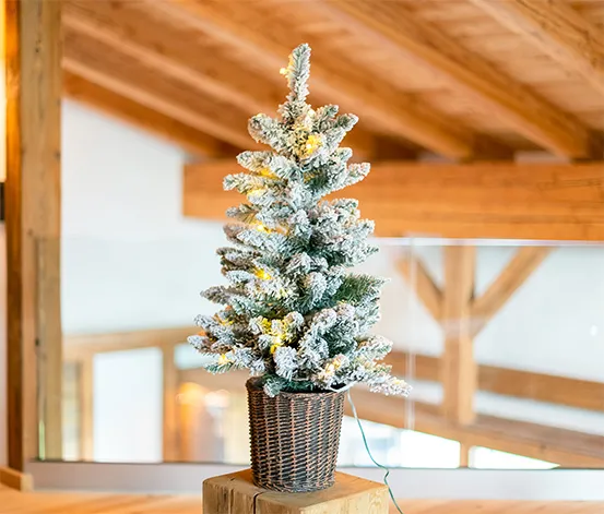 Evergreen LED-Weihnachtsbaum mit geflochtenem Übertopf, ca. 90 cm