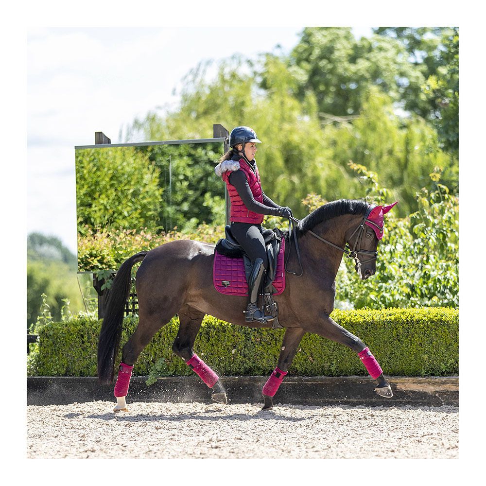Le Mieux LOIRE CLASSIC - Tapis de dressage mulberry