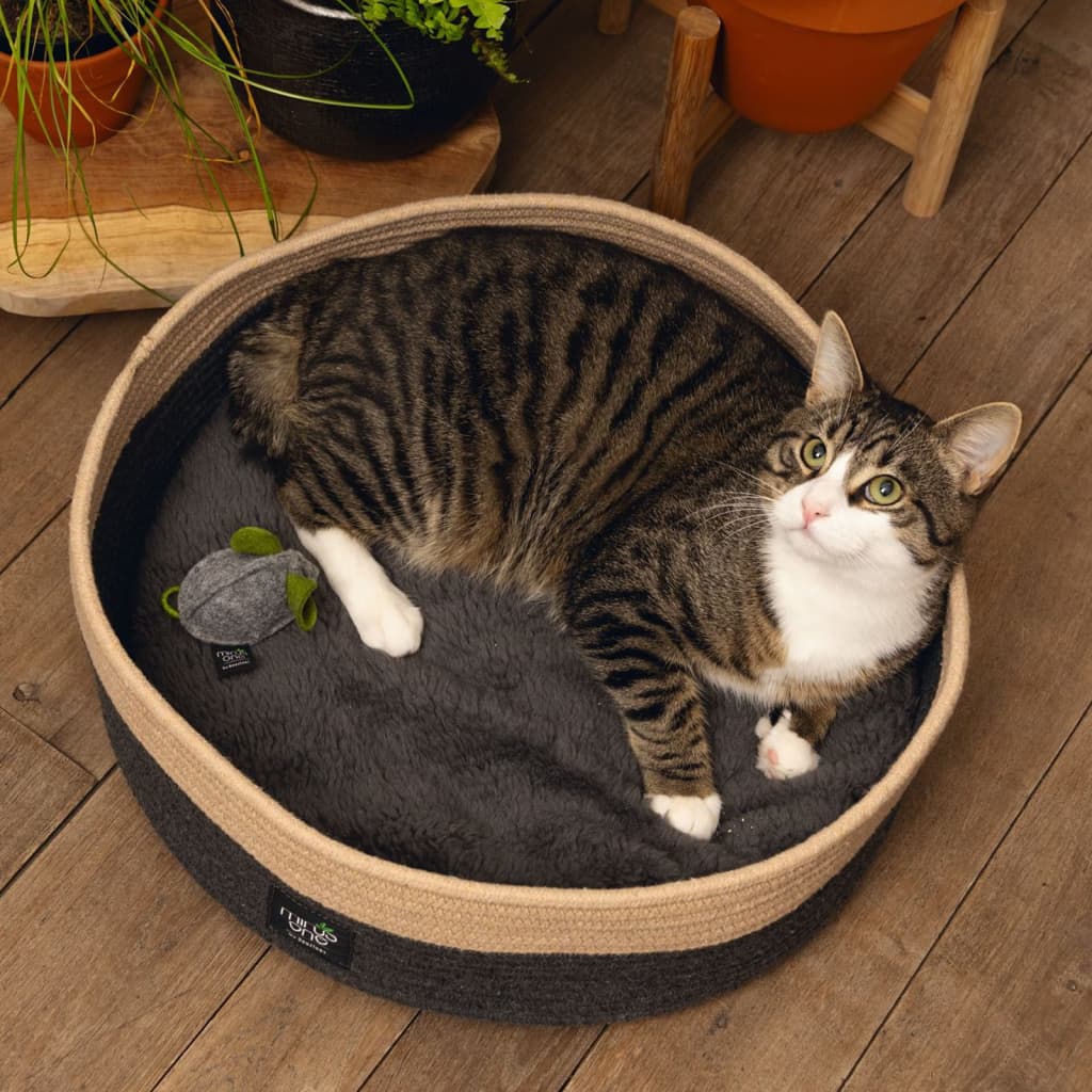 Cama para gato