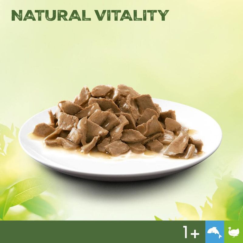 Perfect Fit Natural Vitality Adult