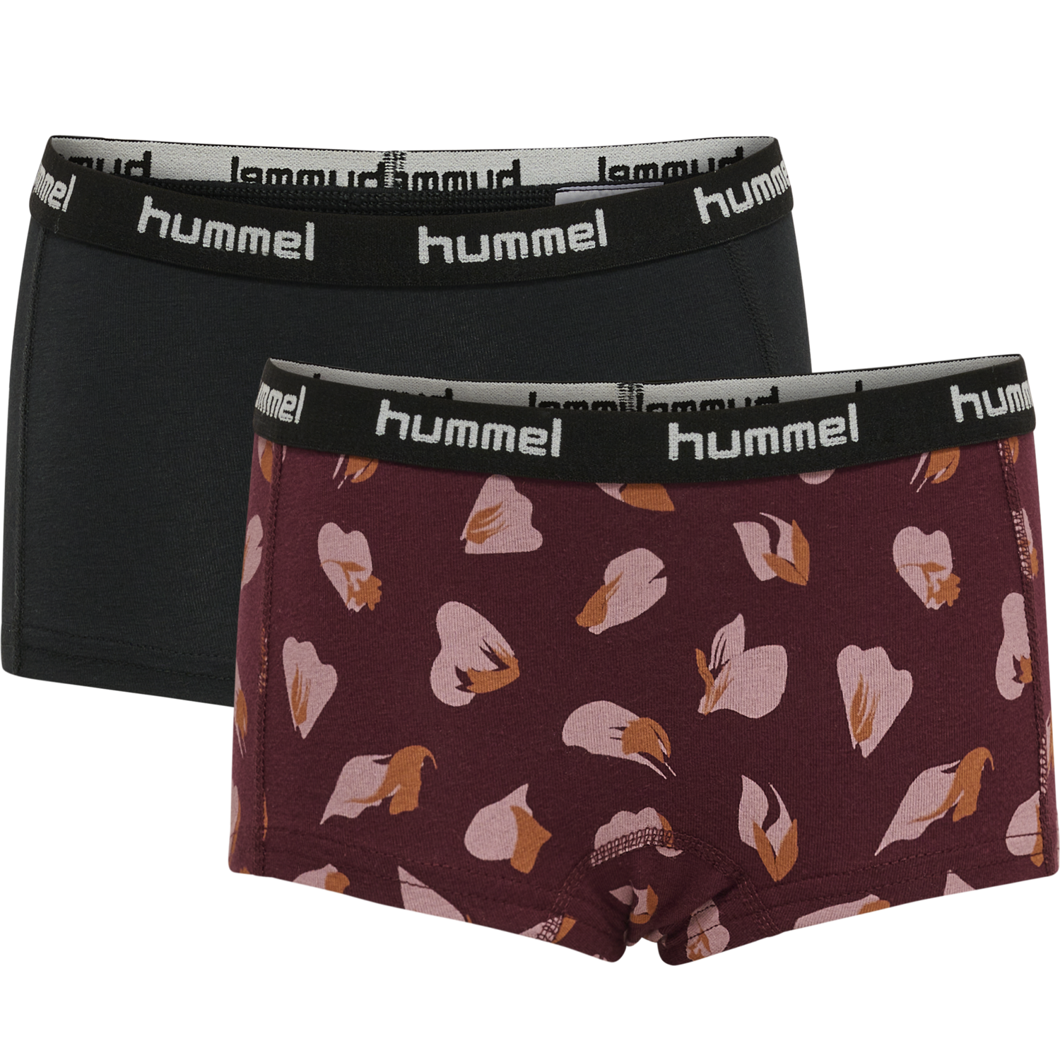 hmlCAROLINA HIPSTERS 2-PACK