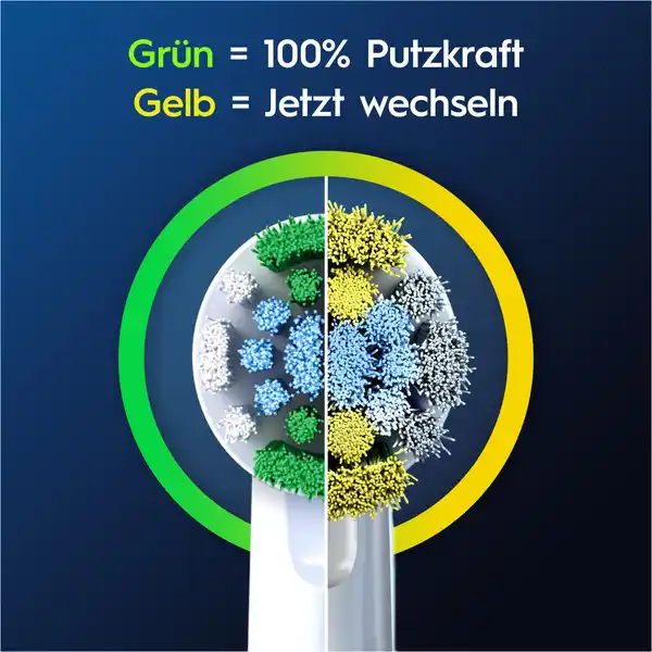 Aufsteckbürsten Pro Precision Clean