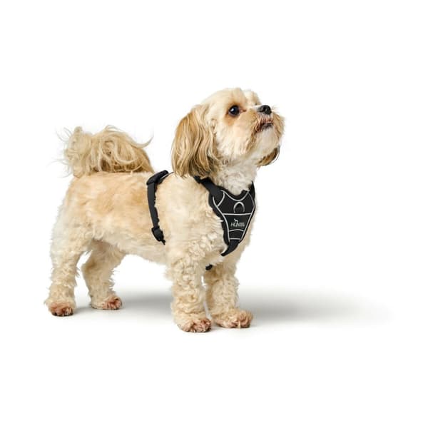 Hundesele Hunter DIVO UP Svart L/XL