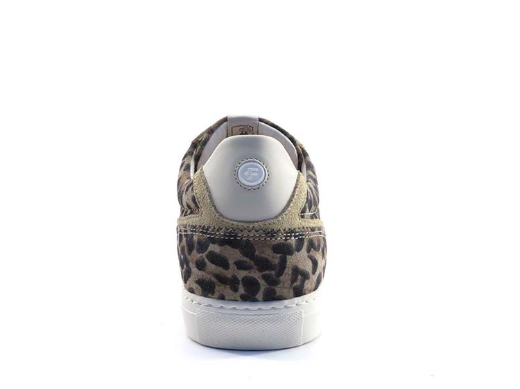 Floris van Bommel SFW-10096 taupe