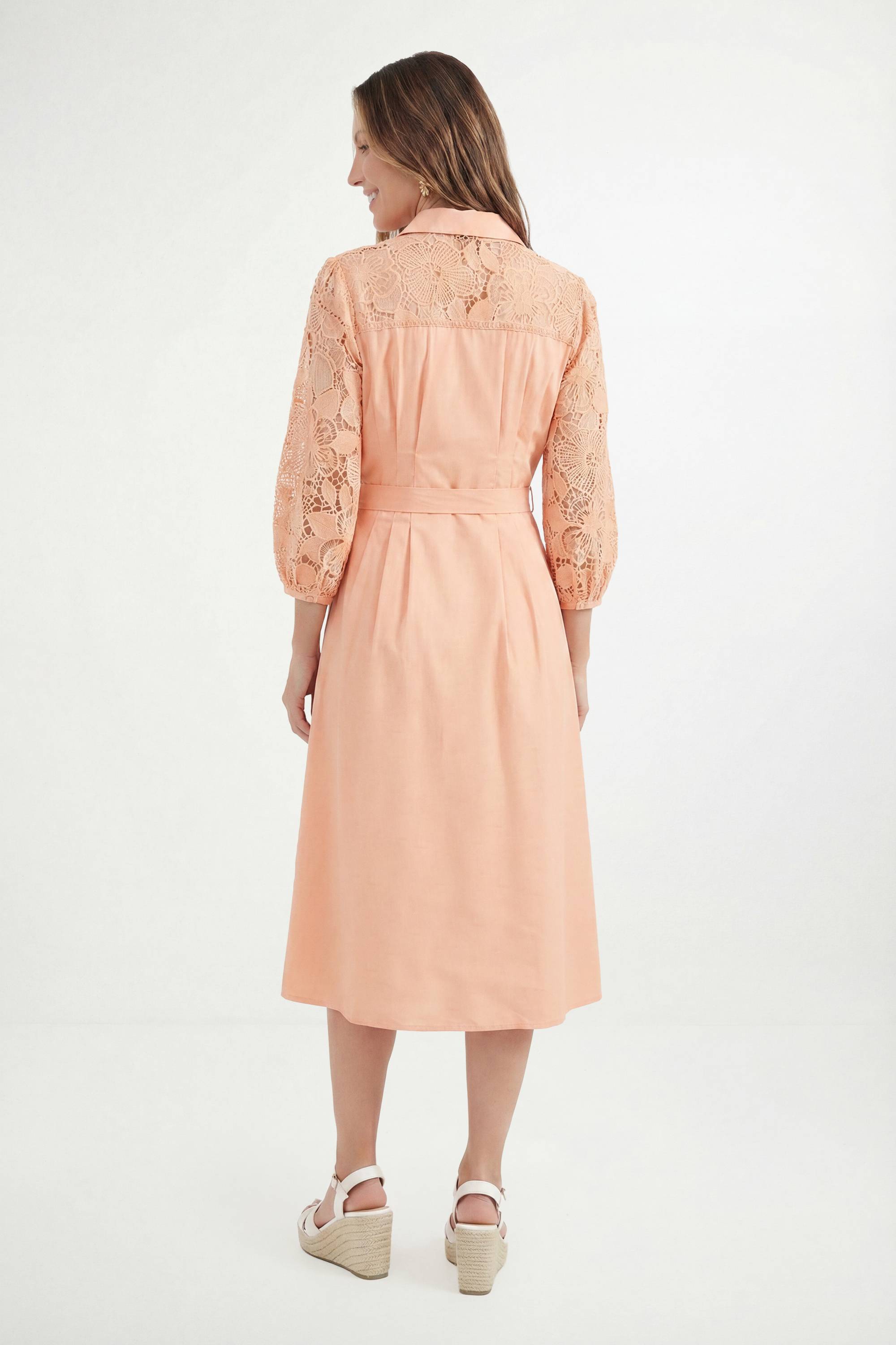 Wallis Robe Chemise Ceinturée En Coton Avec Dentelle Petite