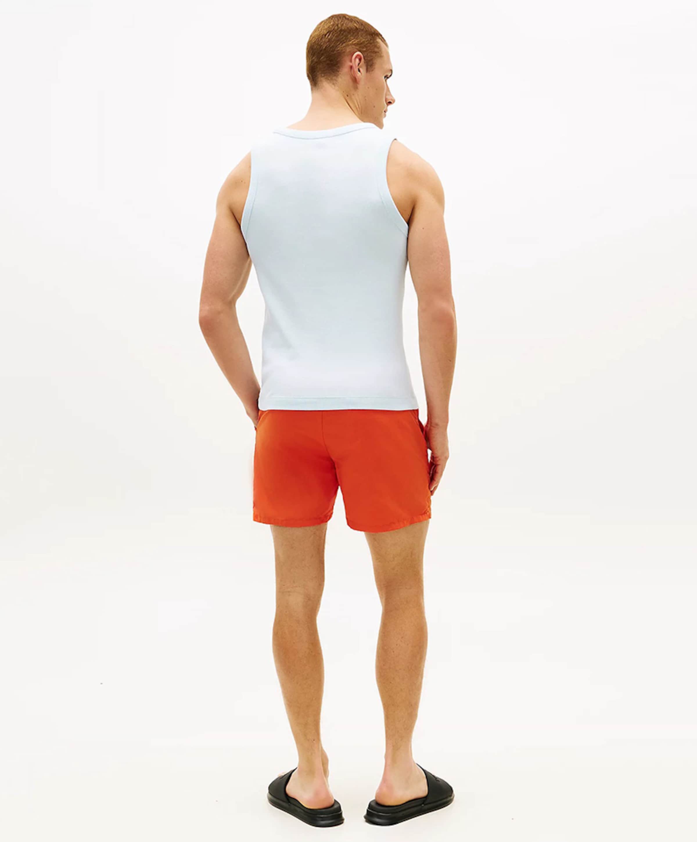 Tommy Hilfiger Body Heren tanktop blauw