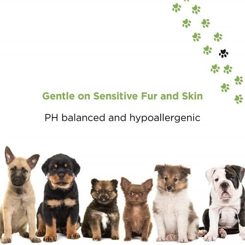Desodorante natural PETUCHI com aroma de limão para cães.