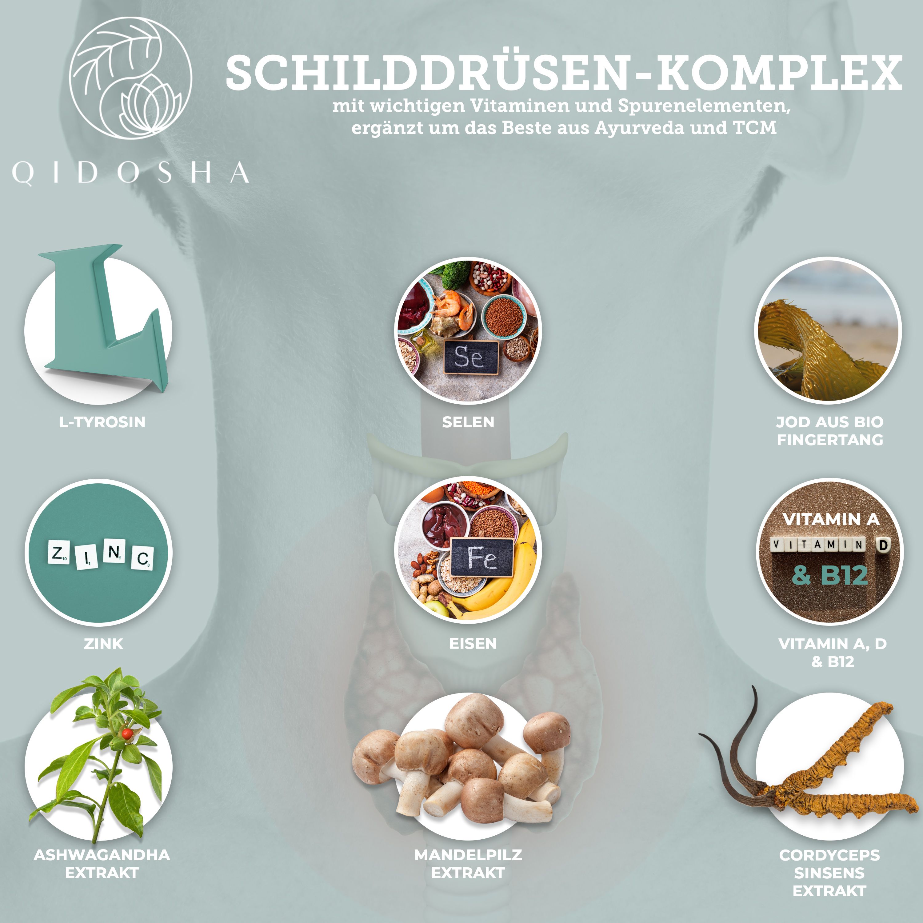 QIDOSHA SHIELD Schilddrüsen Komplex