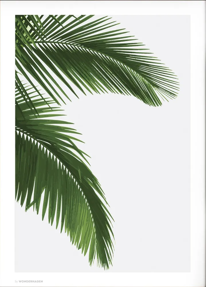 Poster&Frame Plakat Palm