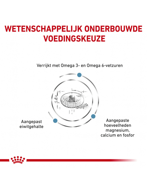 Royal Canin Veterinary Diet Cat Skin & Coat - Kattenvoer