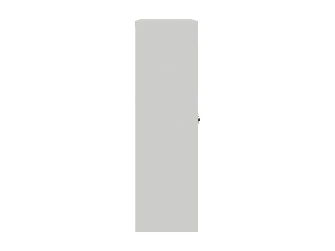 Armoire de bureau 90x40x140 cm Acier Gris
