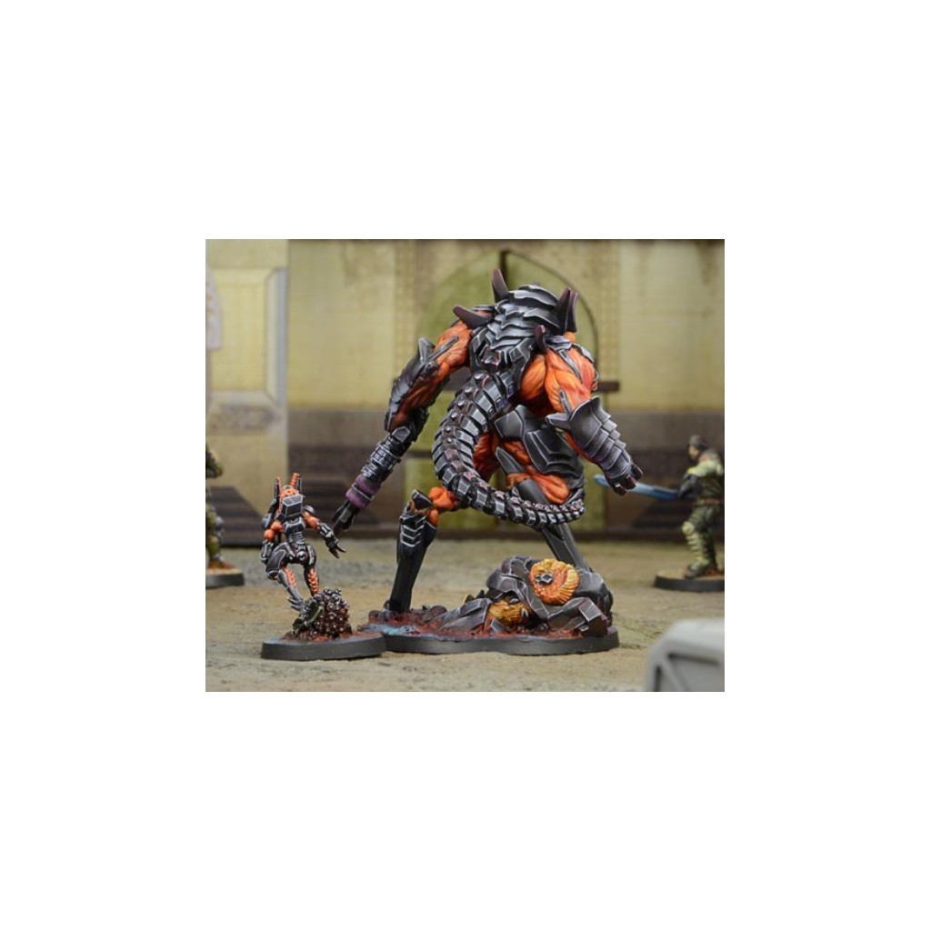 Infinity - Combined Army - Avatar
