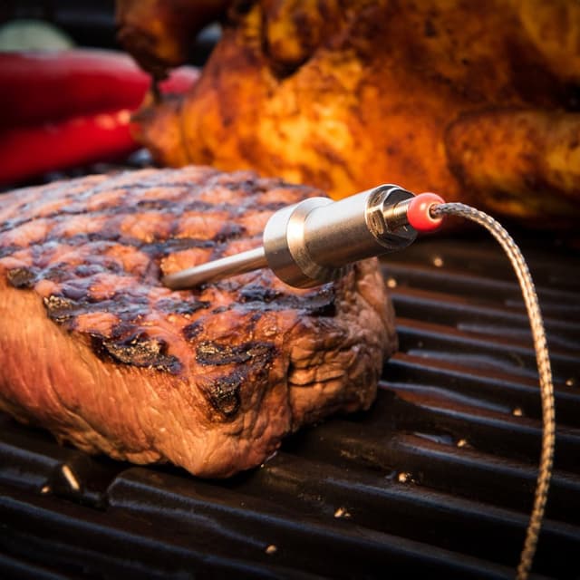 HerQs Probes grilltermometer HERQS002