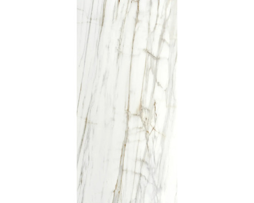 XXL porseleinen wand- en vloertegel Macael goud 120 x 260 x 0,7 cm gepolijst grijs