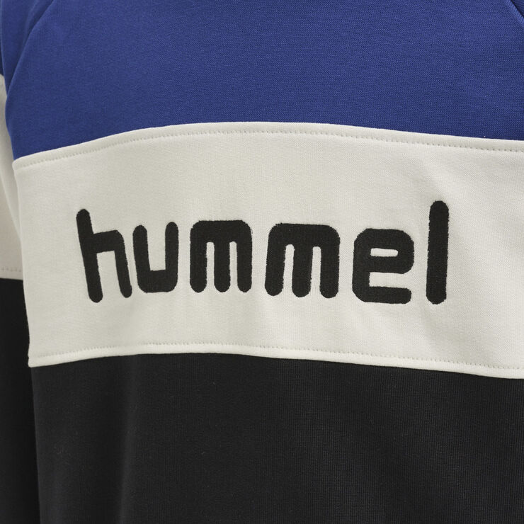 Hummel Claes sweatshirt Multifarvet