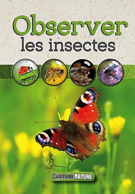 CHAMINA - OBSERVER LES INSECTES
