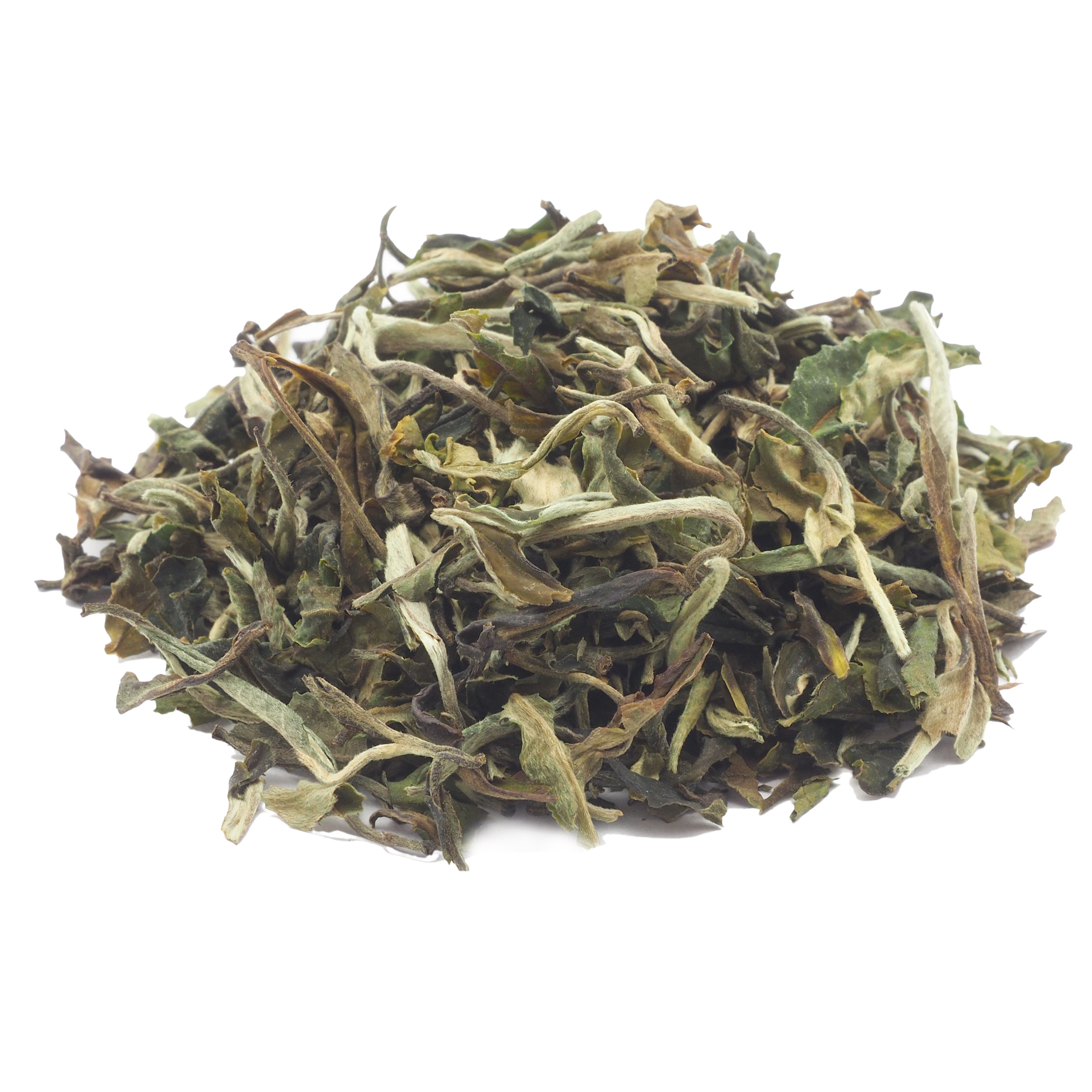 tea4me BIO Pai Mu Tan 