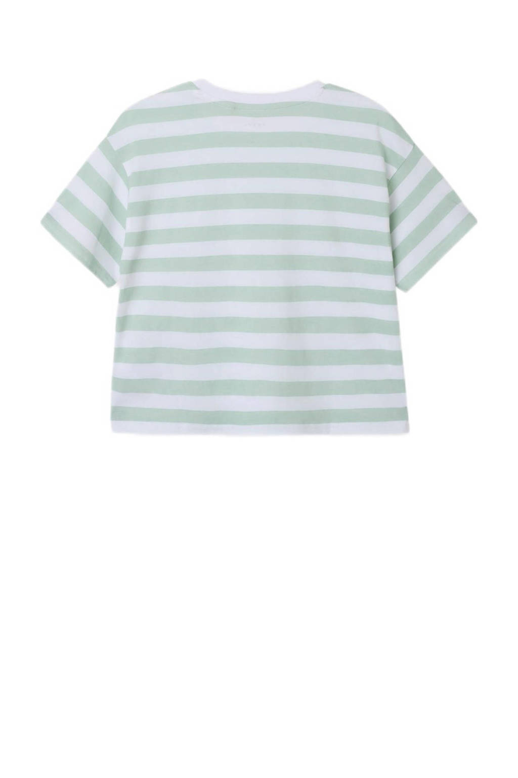NAME IT gestreept T-shirt NKFVITANNI zachtgroen/wit