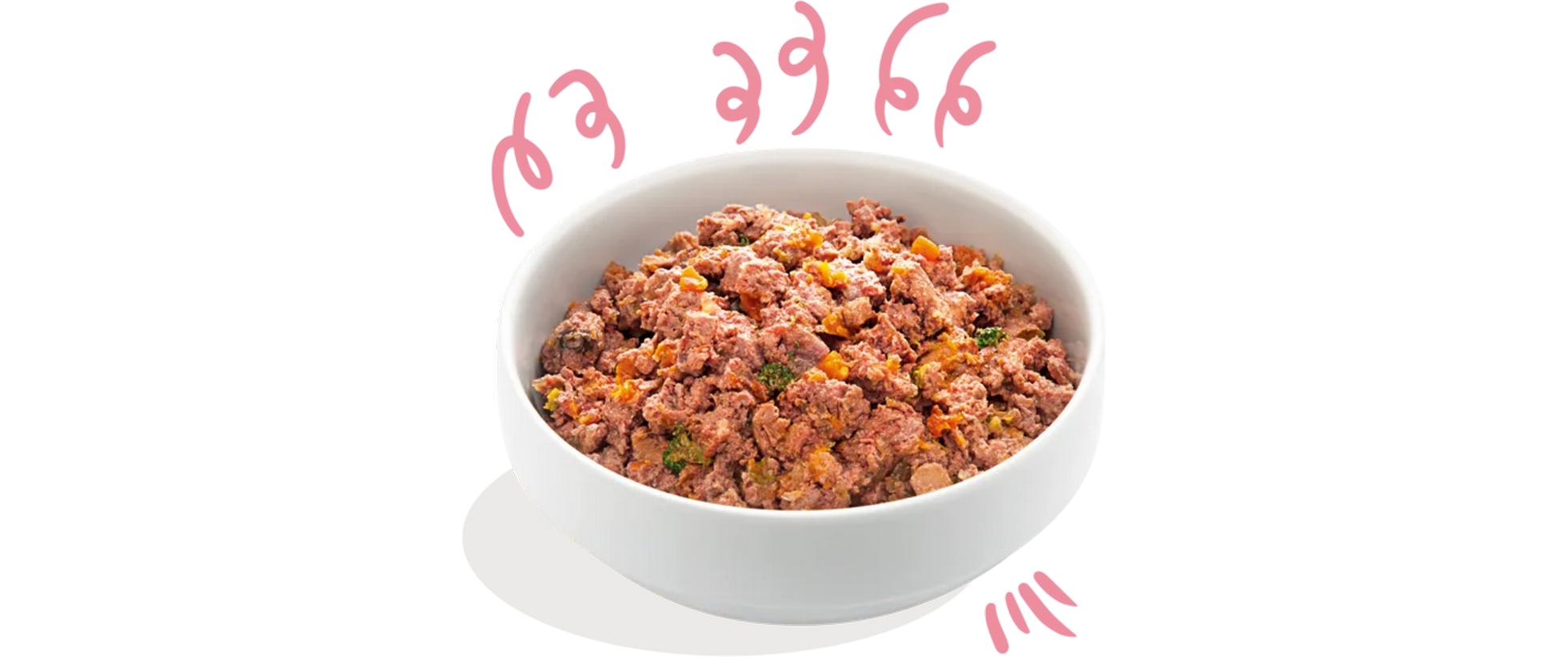 Nassfutter Junior Ente + Huhn, 6 x 400 gAlleinfuttermittel für Welpen