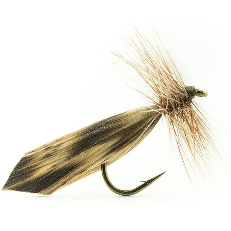 Mouche Devaux Sedge Tricoptheres 422 Bl