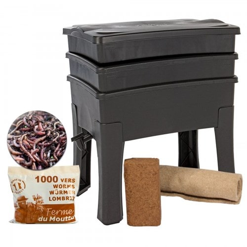 Worm café 2 plateaux   500g de vers