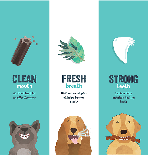 Edgard & Cooper Doggy Dental Sticks Frisse Muntolie en Aardbei