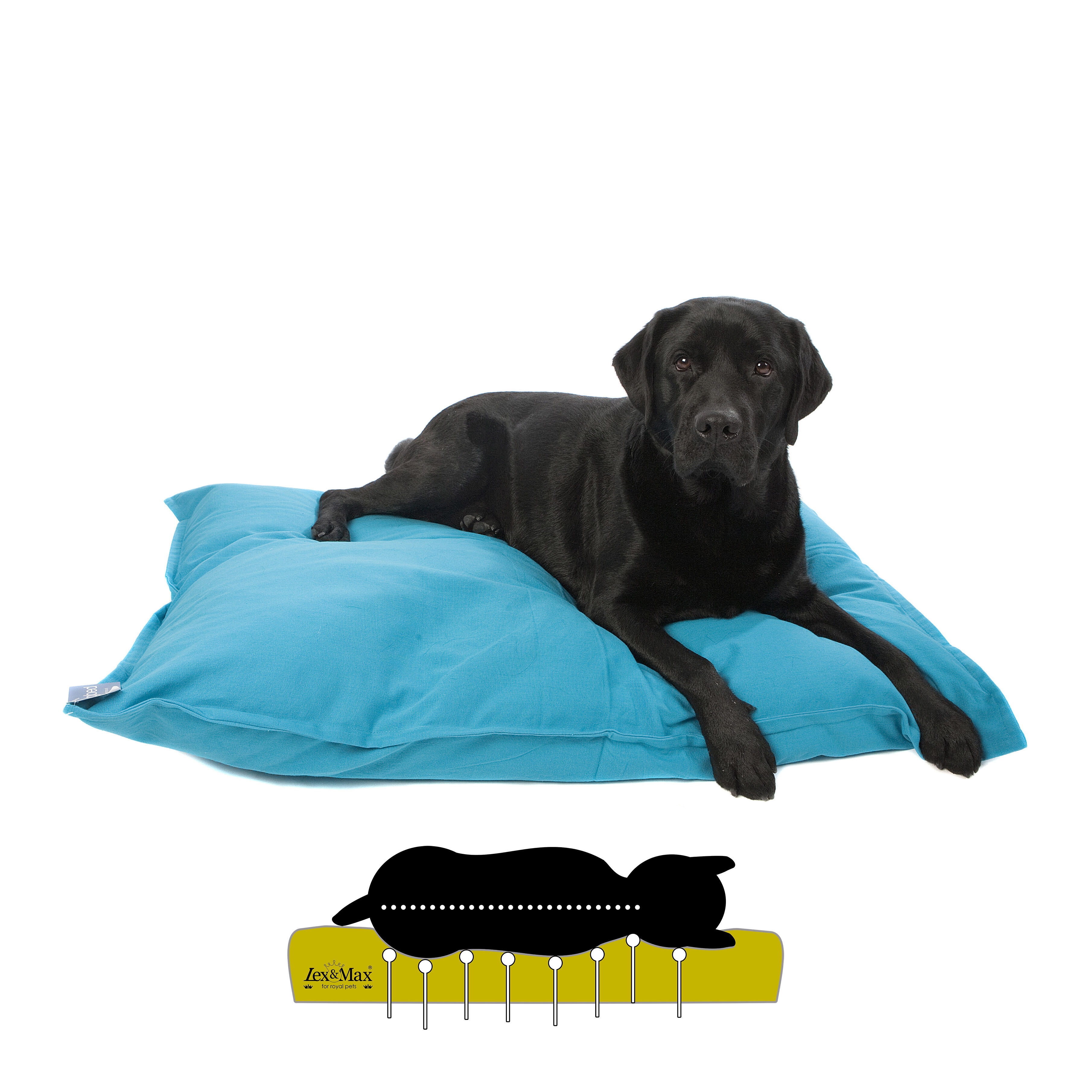 Lex & Max Tivoli - Orthopedisch Hondenkussen - Aqua - 70x100x16 cm - L