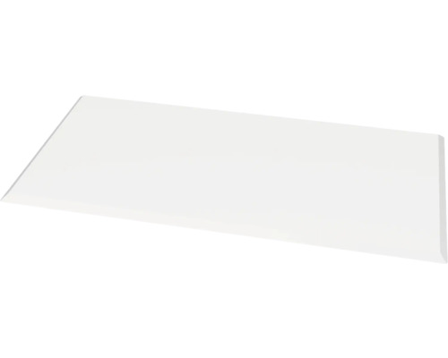 Glazen haardplaat/vonkenvanger, rechthoekig, 100x55 cm met afgeschuinde rand