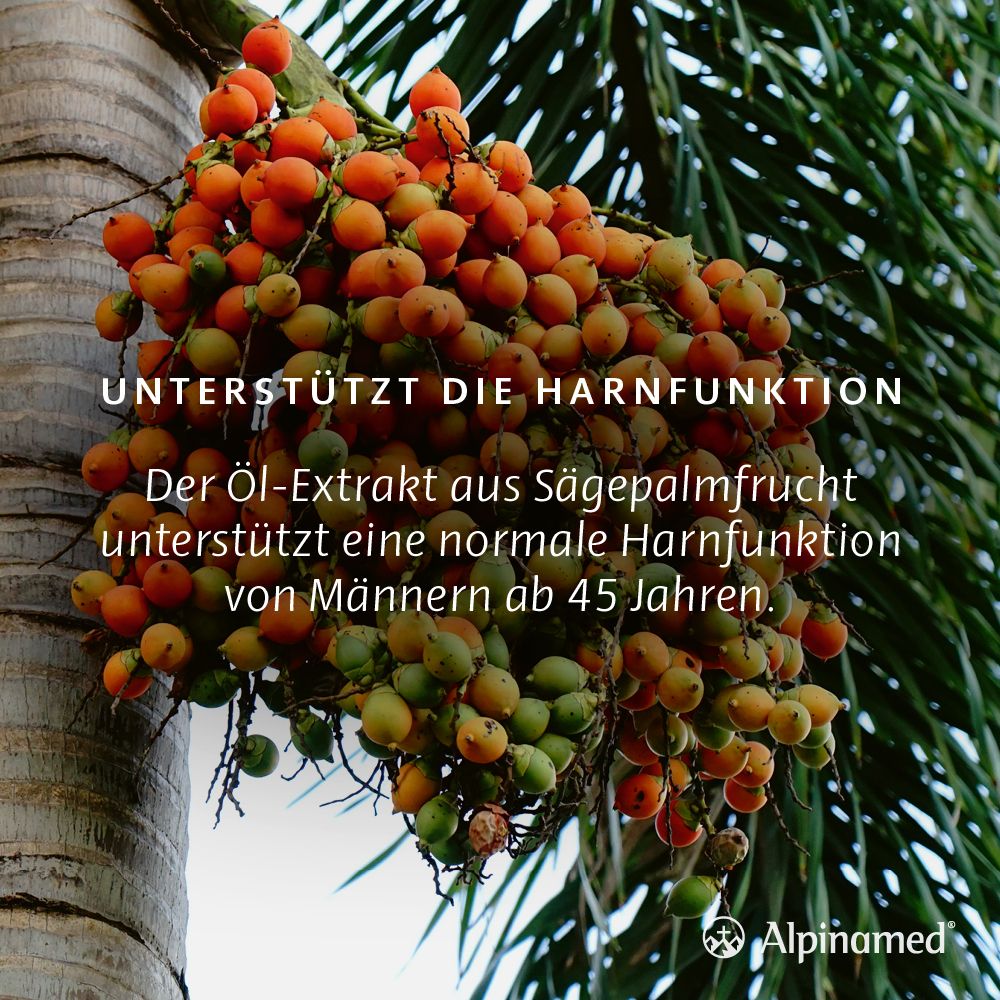 Alpinamed® Prosta Plus Kapseln unterstützen eine normale Harnfunktion von Männern *