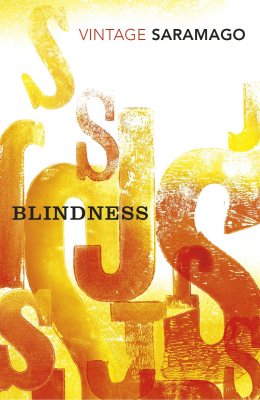 Blindness (Paperback)