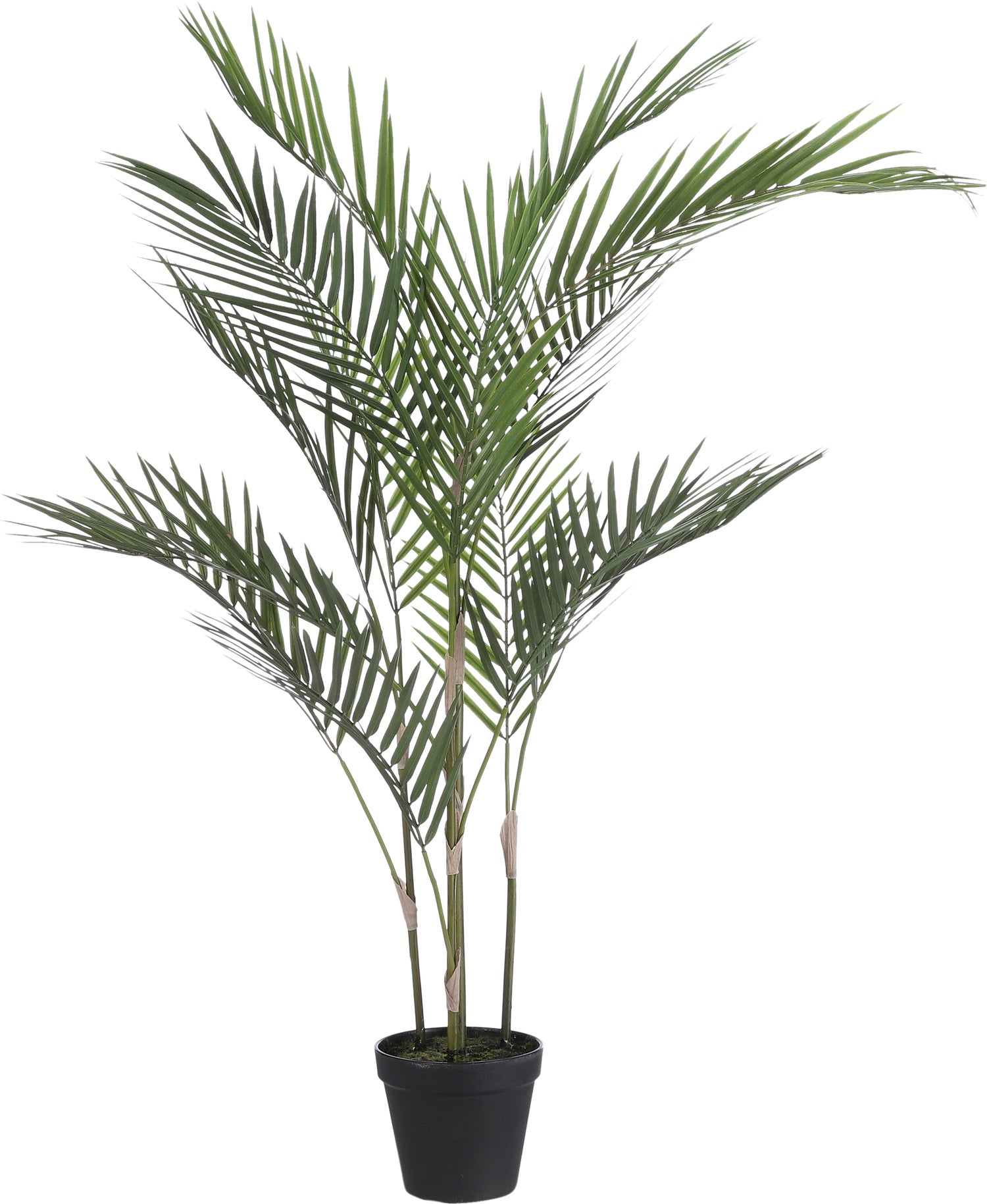 Mica Decorations kunstplant Palm 50 x 50 x 91 cm