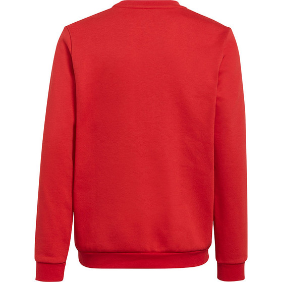 adidas Entrada 22 Sweat Top Kids