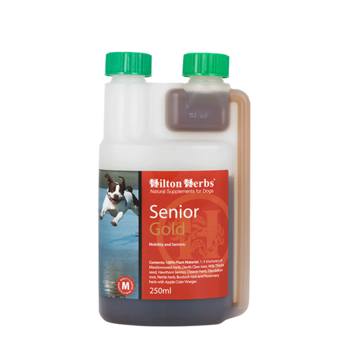 Hilton Herbs Senior Gold for Dogs