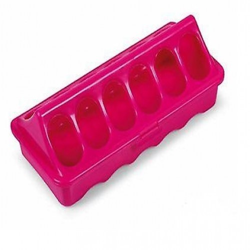 Alimentador de chão para pássaros