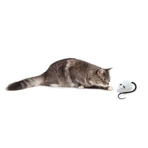 Isca para gatos em formato de rato, preta e branca.