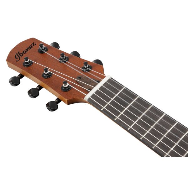 Ibanez AUP10N-OPN