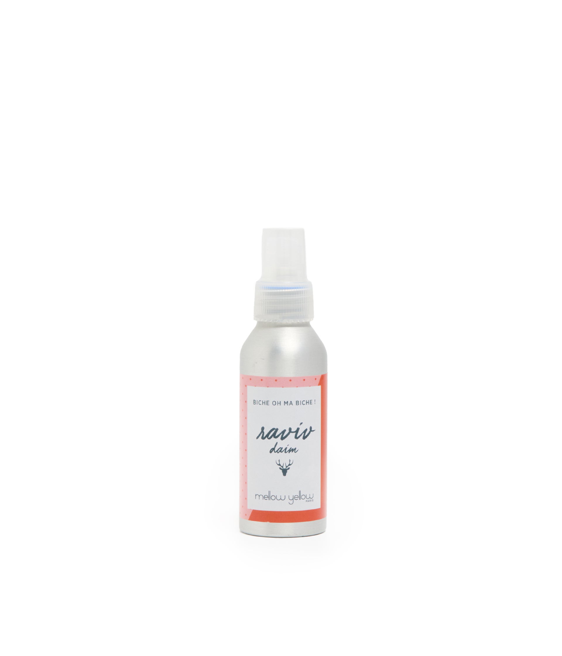Spray daim et nubuck