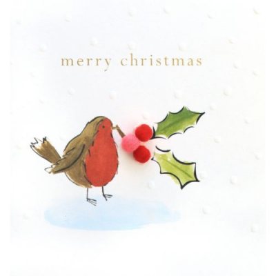 Merry Christmas Robin & Holly