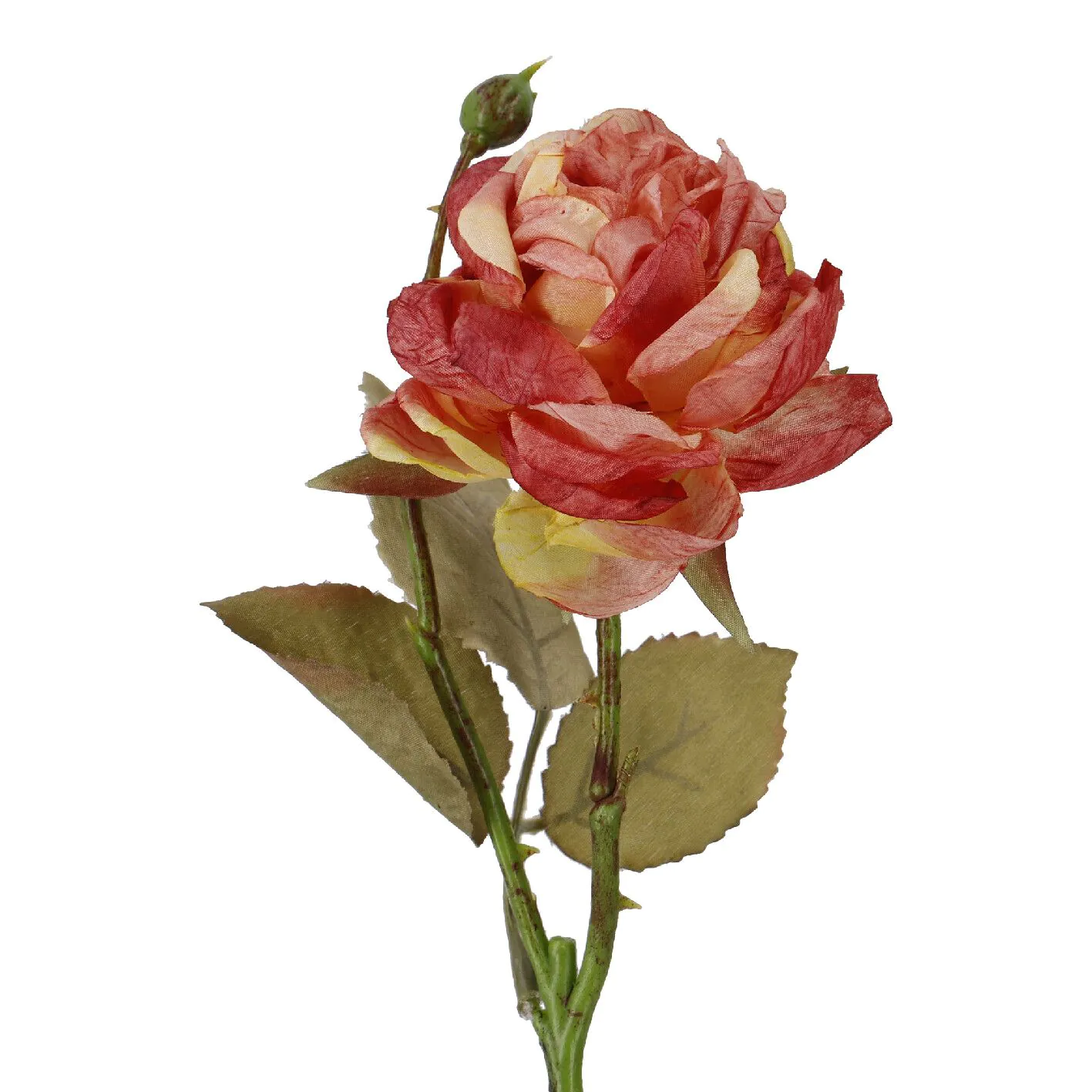 Rose Mathilda, orange, 45 cm