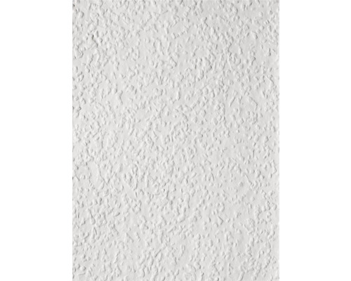 Erfurt vliesbehang met rauhfaser 1000303 Rustiek 10,05x0,53 m