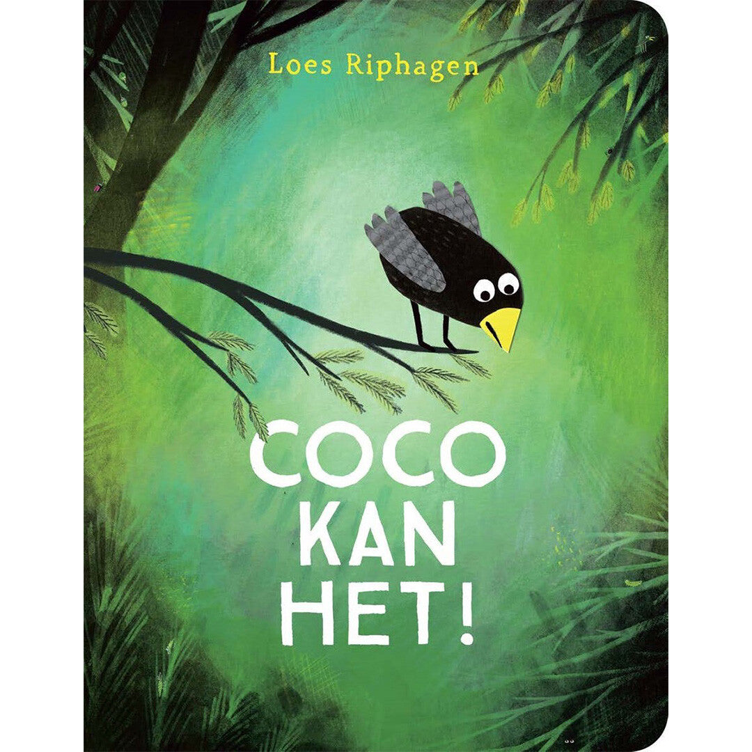 Gottmer kartonboek coco kan het!