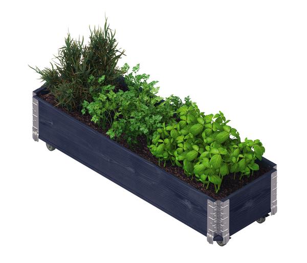 Upyard Holz-Kräuterkasten HerbsBox mit