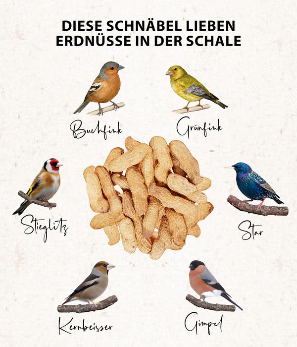 Dehner Natura Premium Wildvogelfutter