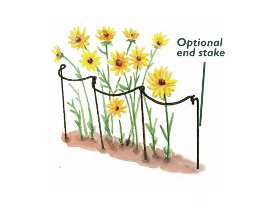 Support à plantes courbé en acier (Lot de 6)