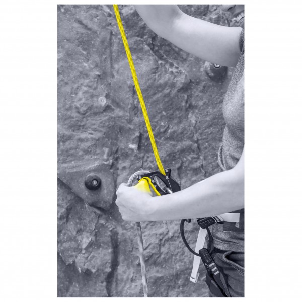 Salewa - Ergo Belay System - Système d'assurage