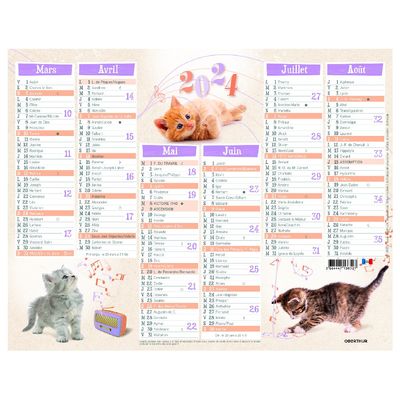Calendrier Chatons - 7 mois par face - 21 x 26,5 cm - Oberthur