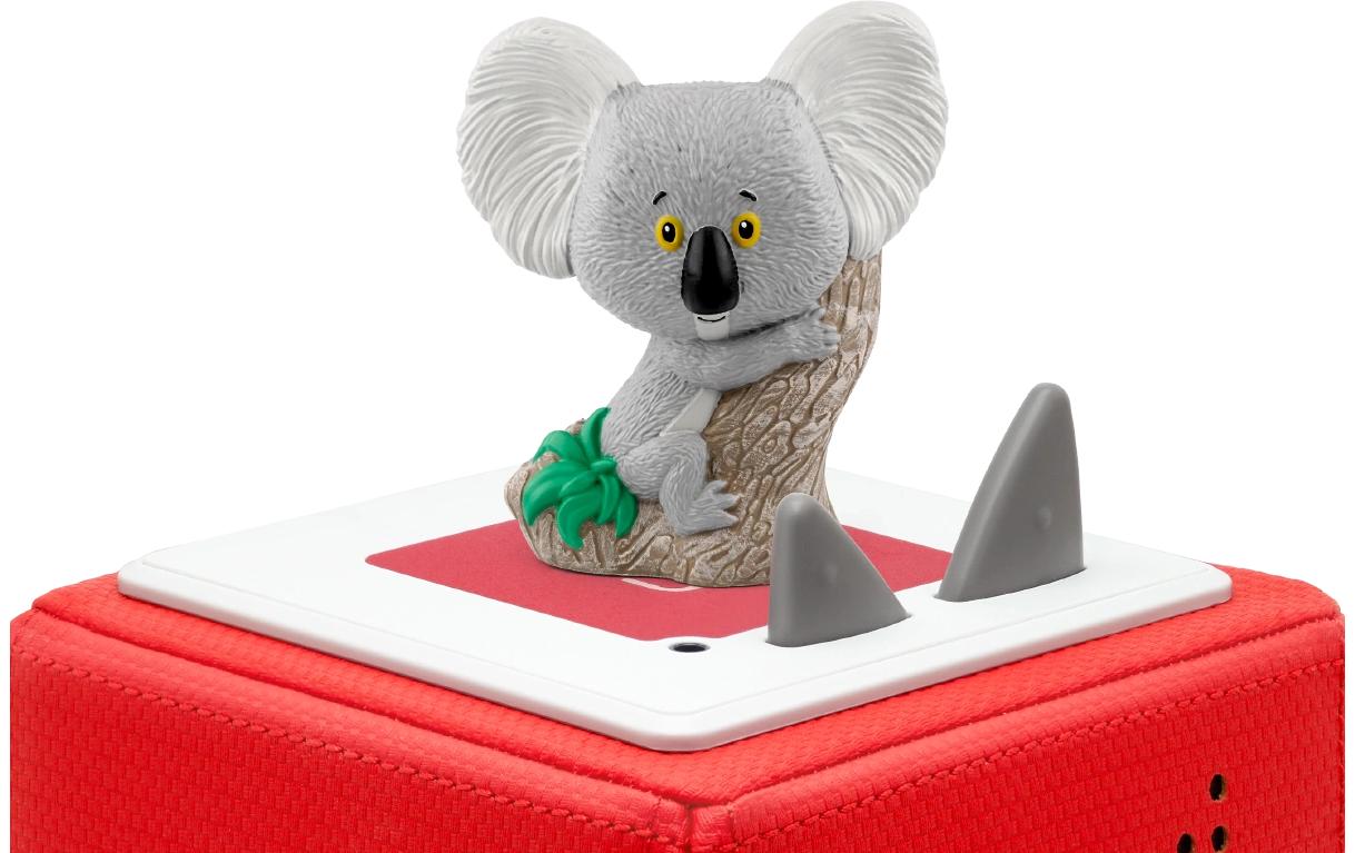 Hörbuch Trau dich Koala BärHörspiel